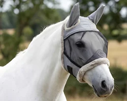 Antifly Protection for Horses