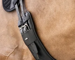Girth & Stirrups