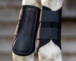 Leg & Hoof Protection
