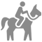 Horse Training