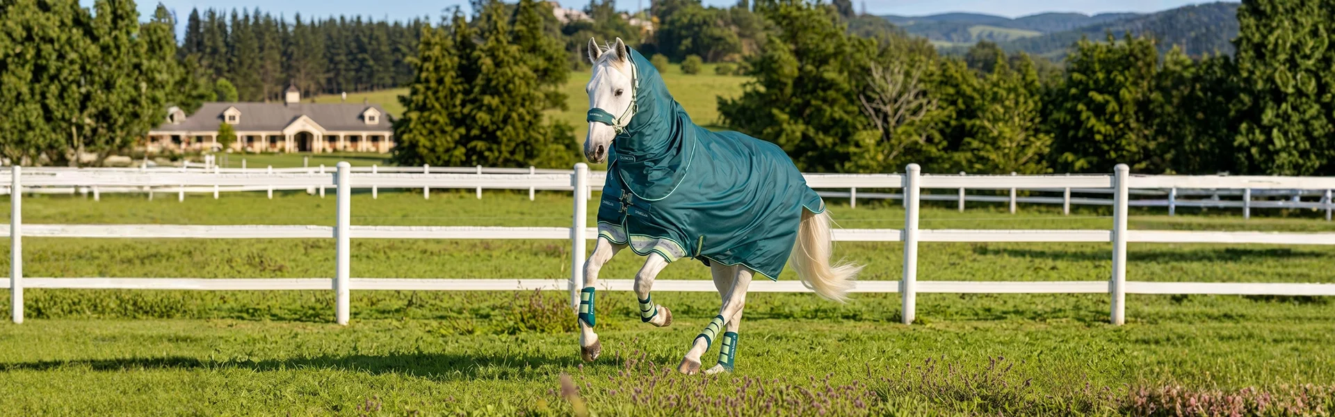 Horse Rugs